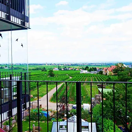 Casa Del Vino Нойштадт-ан-дер-Вайнштрасе